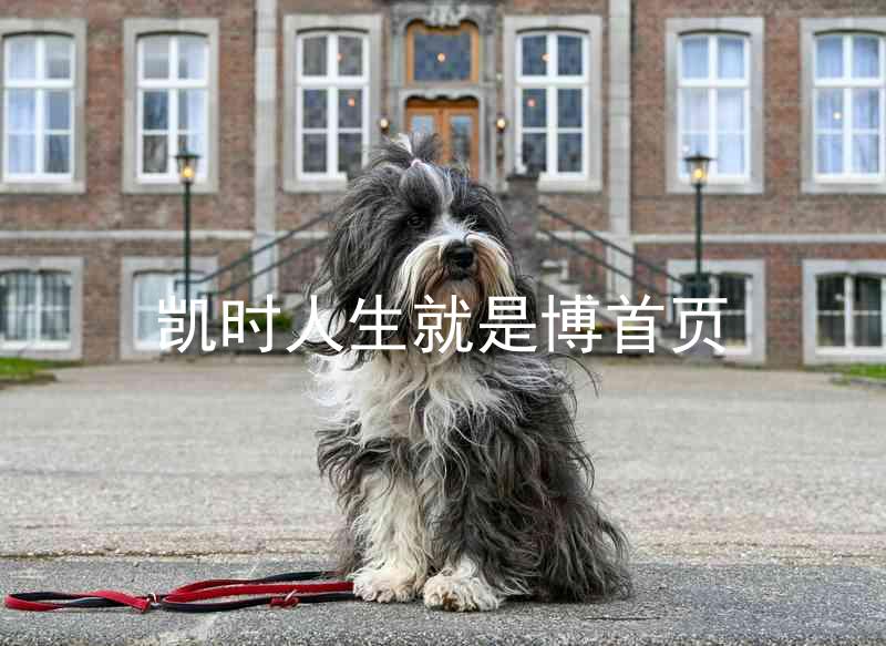 凯时人生就是博首页